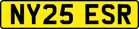 NY25ESR