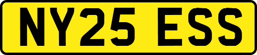 NY25ESS