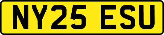 NY25ESU