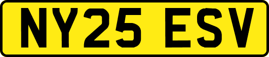 NY25ESV