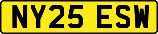 NY25ESW