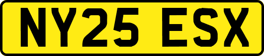 NY25ESX