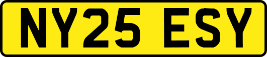 NY25ESY