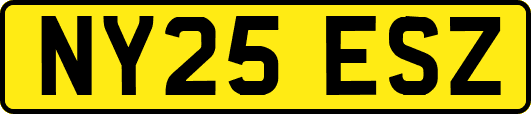 NY25ESZ