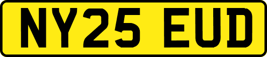NY25EUD