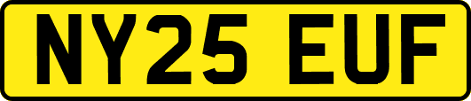 NY25EUF