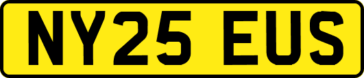 NY25EUS