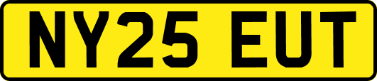 NY25EUT
