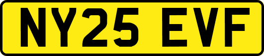 NY25EVF
