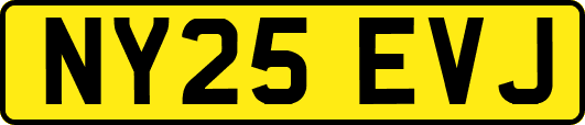 NY25EVJ