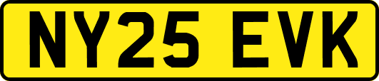 NY25EVK