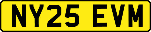 NY25EVM