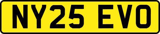 NY25EVO