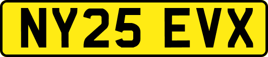 NY25EVX