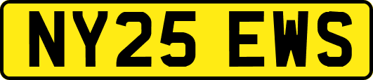 NY25EWS