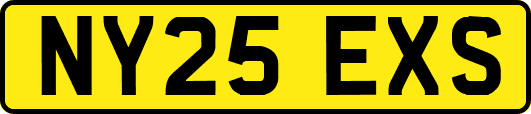 NY25EXS