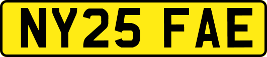NY25FAE