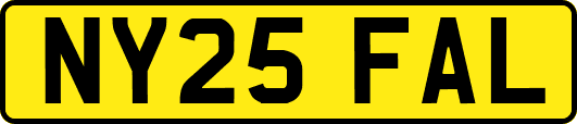 NY25FAL