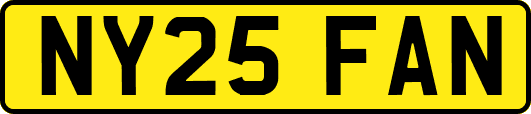NY25FAN