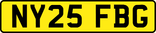 NY25FBG