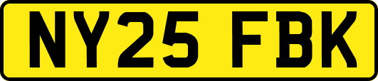 NY25FBK