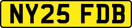 NY25FDB