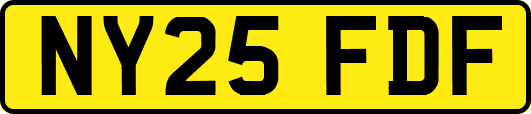 NY25FDF