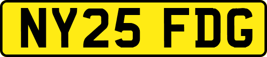 NY25FDG