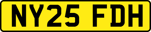 NY25FDH