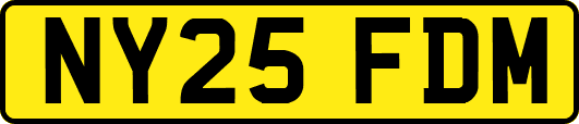 NY25FDM