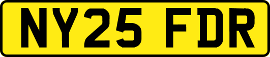 NY25FDR