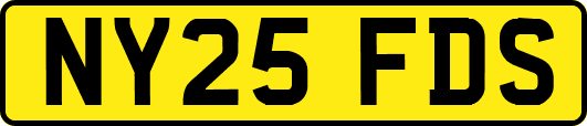 NY25FDS