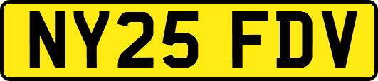 NY25FDV