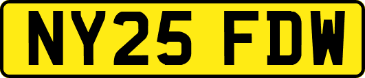 NY25FDW