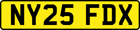 NY25FDX