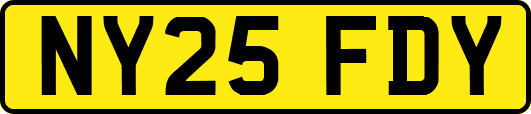 NY25FDY