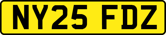 NY25FDZ