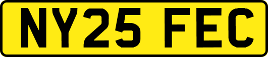NY25FEC