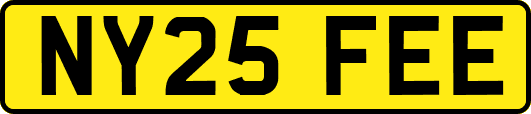 NY25FEE