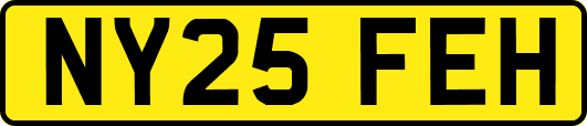 NY25FEH