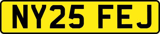 NY25FEJ