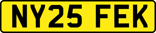 NY25FEK