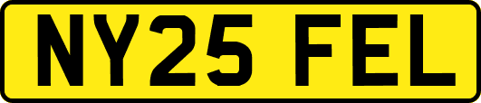 NY25FEL