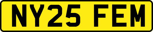 NY25FEM