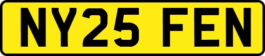NY25FEN