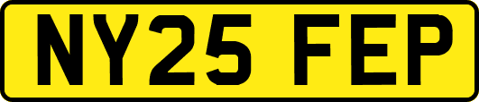 NY25FEP