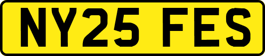 NY25FES