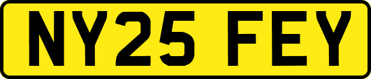 NY25FEY