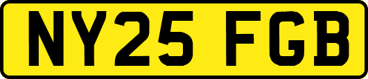 NY25FGB