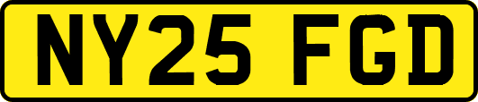 NY25FGD